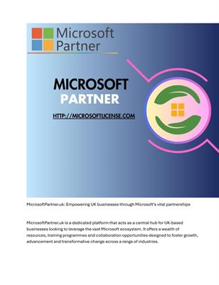 MICROSOFT REPRESENTATIVE OFFICE IN IRAN: This Is What Professionals Do