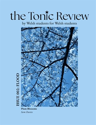 Tonic Issue 002: Flood