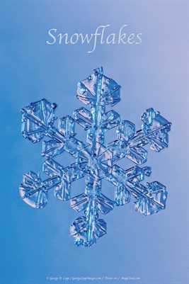 Snowflake Poster #6