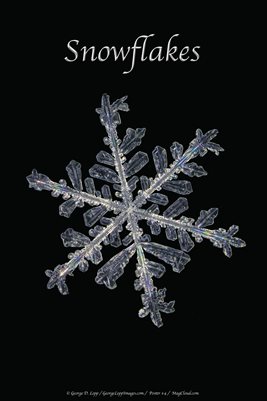Snowflake Poster #4