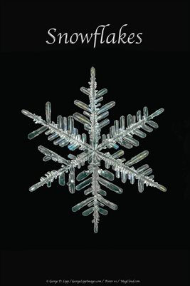 Snowflake Poster #1
