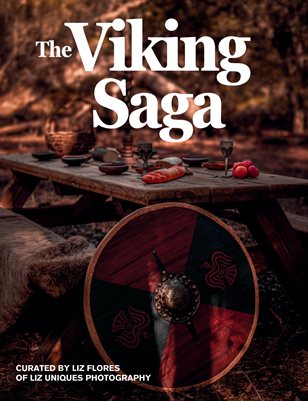 Viking Saga