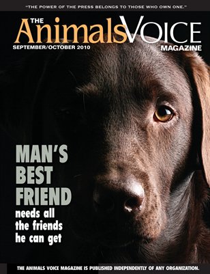 Man's Best Friend