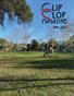 April 2025 Clip Clop Magazine - Vol.14#11