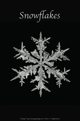 Snowflake Poster #2