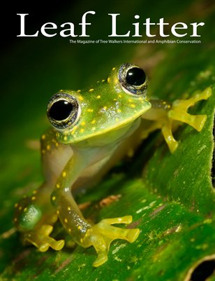 Leaf Litter (Vol. 3, Issue 1) The Panama Issue