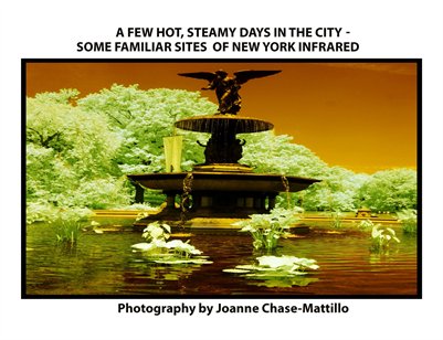 new york infrared